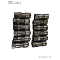 17W209 Lifters Set All 2005 Ford F-250 Super Duty 6.0 3C3E6500AA Power Stoke Diesel 17W209 Lifters Set All 2005 Ford F-250 Super Duty 6.0 3C3E6500AA Power Stoke Diesel